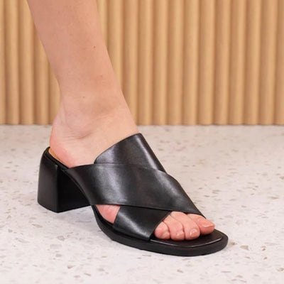 Image without description.