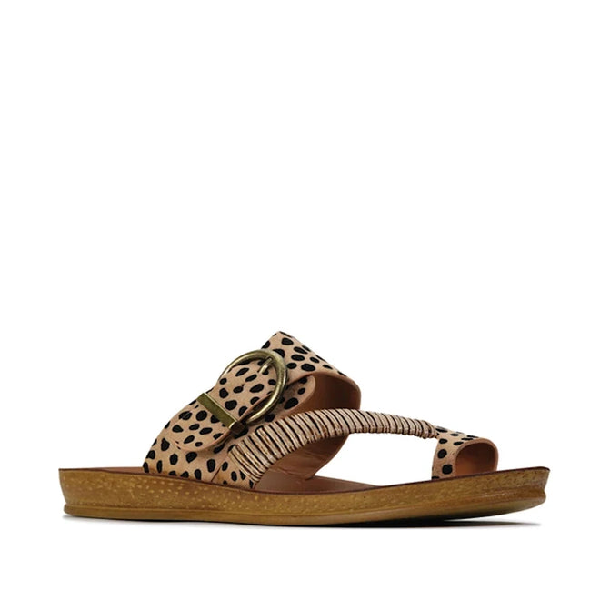 The Los Carbos Bria Cheetah Beige Black Light Flexible Sandal Jandal showcases a tan sole, a wide beige strap with bold black cheetah spots, an oversized metal buckle, and a twisted detail across the foot. Ideal for warm weather, this flat and open-toed sandal is photographed beautifully against a white background.