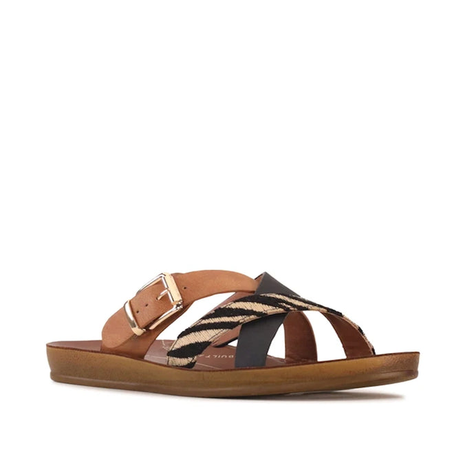 The Los Cabos Brik Black Brandy Zebra Women’s Slide Sandal features a tan sole with black and brandy criss-cross straps, braided detailing, and a gold buckle accent. Designed with an anatomical footbed for all-day comfort, these sustainable sandals seamlessly blend style and support.
