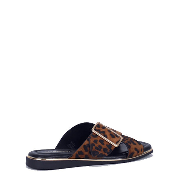 Step out in style with the Soultbush Luca Leopard Womens Sandal Slide—a chic flat slide sandal featuring a bold leopard print strap, oversized gold buckle, sleek black sole, and metallic trim around the edge. These fashionable summer sandals are the perfect way to add flair to any warm-weather outfit.