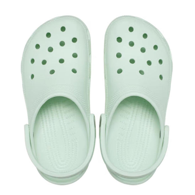 Pair of adults crocs mint tint  light green clogs with holes. top down view on a white background,
198445189661,
198445189678,
198445189685,
198445189692,
198445189708,
198445189715,
198445189609,