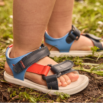 Image without description.