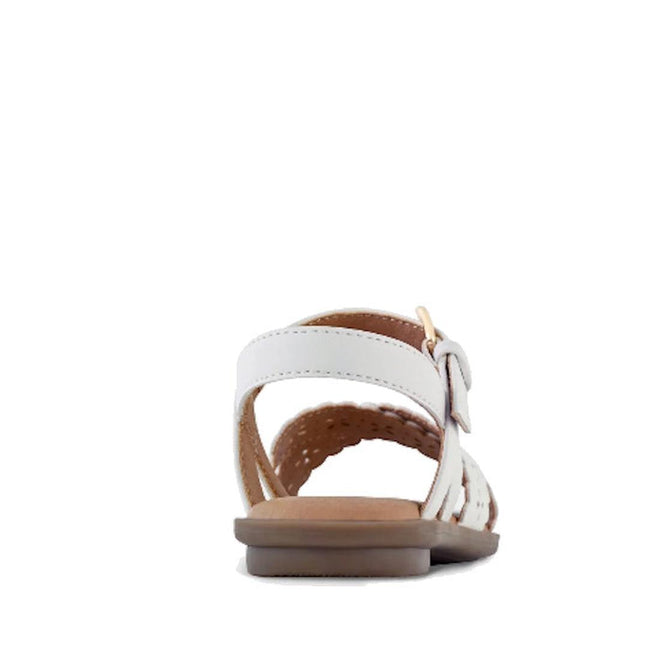 A back view of Clarks - Girls Hallie White Sandals E Average Width, showcasing a white flat sandal with a brown sole and ankle strap with buckle, displayed on a white background., 9336078590978, 9336078590992, 9336078591012, 9336078591036, 9336078591050, 9336078591074, 9336078591098, 9336078591111, 9336078591135