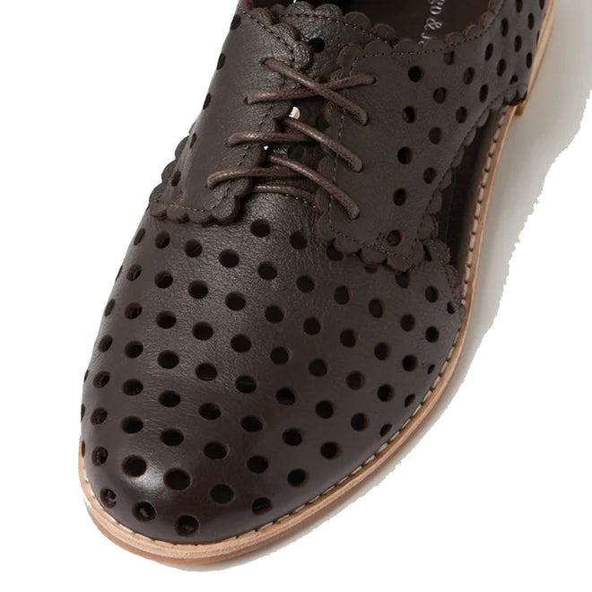 A close-up of the Django & Juliette Adalina Leather Womens Cut Out Brogues Summer Shoes in chocolate brown showcases decorative perforations, scalloped edges, and matching brown laces. Featuring a light-colored sole and a classic brogue design, these shoes embody timeless style and comfort for women.