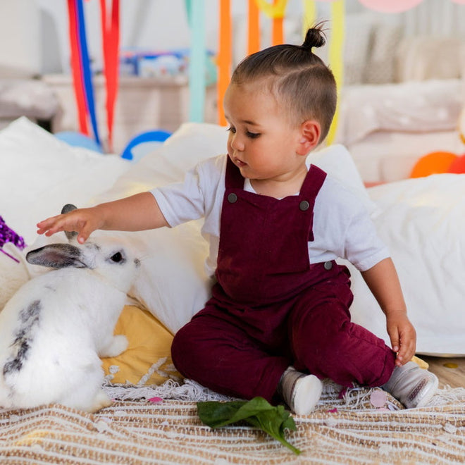 A toddler in maroon overalls, wearing Bobux Explorer Go Rose Gold First Walker Crawler 501015B shoes, gently pets a white rabbit with black spots on a yellow blanket with leafy greens, while colorful streamers hang in the background., 9420075704473, 9420075704480, 9420075704497, 9420062080436